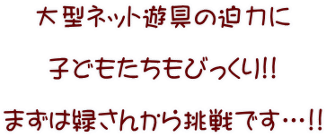 大型ネット遊具の迫力に  子どもたちもびっくり!!  まずは緑さんから挑戦です…!!