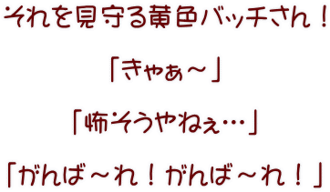 それを見守る黄色バッチさん！  「きゃぁ～」  「怖そうやねぇ…」  「がんば～れ！がんば～れ！」