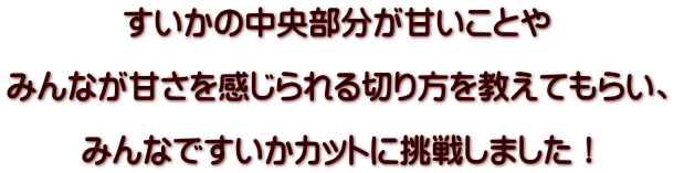 すいかの中央部分が甘いことや  みんなが甘さを感じられる切り方を教えてもらい、  みんなですいかカットに挑戦しました！