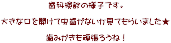 歯科検診の様子です。  大きな口を開けて虫歯がないか見てもらいました★  歯みがきも頑張ろうね！